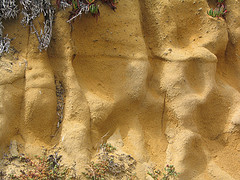 Kerti talajtípusok - agyagos talaj