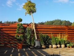 A kerti növényekről a kertépítés árajánlatnak külön melléklete van